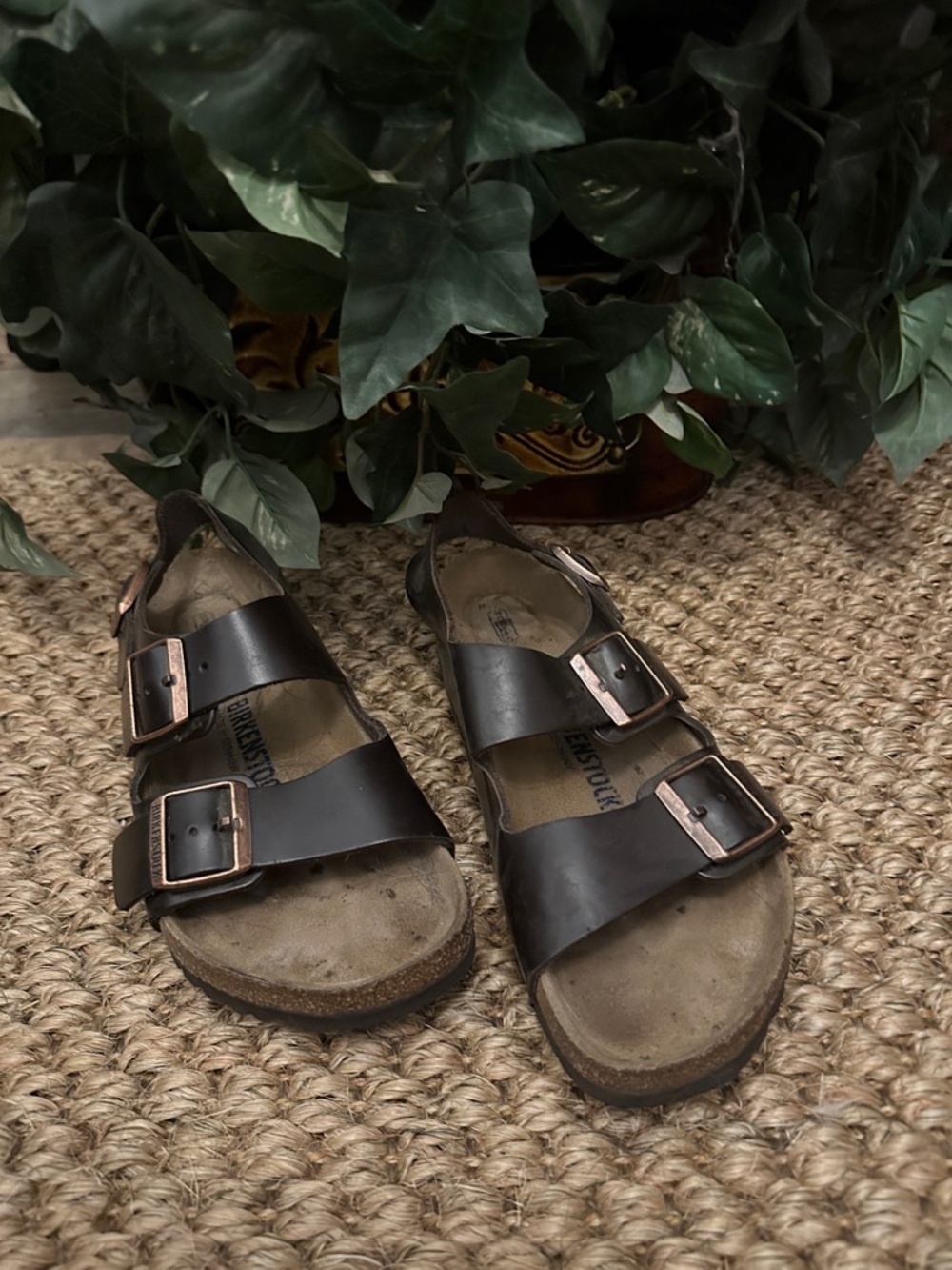 Birkenstock Women’s Dark Brown Two-Strap Leather Sandals with Metal Buckles